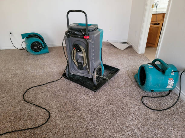 Best Water damage restoration near me  in Merrimac, VA