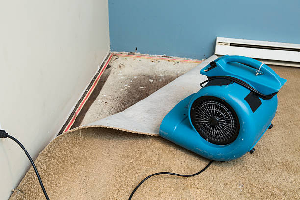  Merrimac, VA Water damage restoration Pros